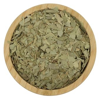 Feuilles de thé à l'eucalyptus, Tisane d'eucalyptus - Eucalyptus Globulus (1.5kg)