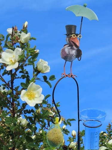 Pommerntraum ®| Regenmesser Pluviometer Gartendeko Raben Tierfiguren | Niederschlagsmesser Pluviometer Ombrometer Wetterstation Vogelfiguren Gartenkunst Vogel Vögel (RABE + GATTIN ROSTOPTIK)