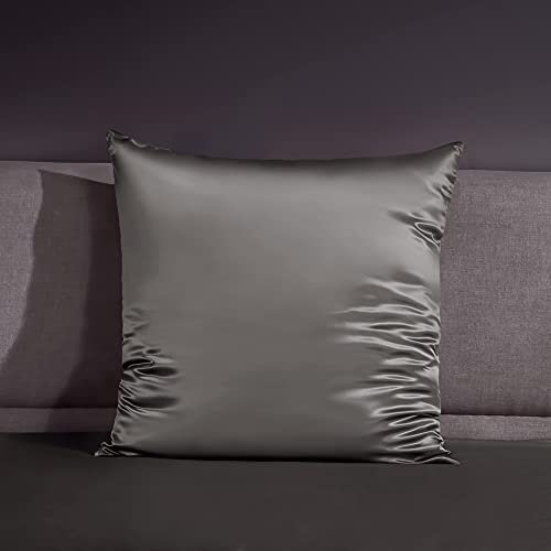 THXSILK 22 Momme Seide Kissenbezug - 100% Seide Kopfkissenbezug Sofakissenbezug Kinderwagen - Anti milben Reißverschluss Seidenkissenbezug - Holzkohle 80 x 80 cm