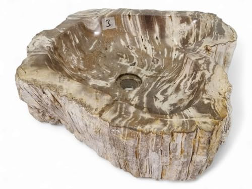 Lavabo en bois pétrifié, 30 à 50 cm, en pierre naturelle, en bois fossile, différentes couleurs et veinures (modèle 3)