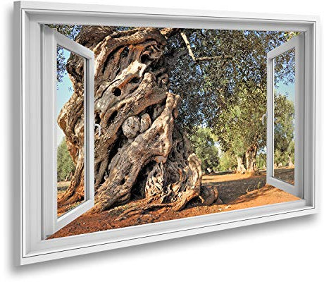 islandburner Bild auf Leinwand Fensterblick Alter Olivenbaum im Garten Sagenhafter Effekt Wandbild Leinwandbild XDEA