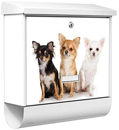 banjado® Burgwächter Briefkasten Weiß 38x39x12cm mit Motiv Chihuahua/Briefkasten mit Zeitungsfach/Briefkasten mit Zeitungsrolle/Postkasten inkl. Montagematerial & 2 Schlüsseln