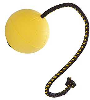 Dingo Gear Ball für Training # 70 mm auf Seil 30 cm schwimmed Ball weich Gummiball Farbe Gelb apport Spiel mit Hund S02703