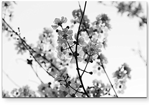 Leinwandbilder | Bilder Leinwand 120x80cm Ast mit Blumen schwarz/weiß