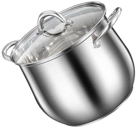 TOGEVAL Olla Grande de Acero Inoxidable 24 Cm con Tapa y Doble Asa, Olla para Sopa y Estofado con Fondo Reforzado, Compatible Cocina Doméstica y Cocción Uniforme