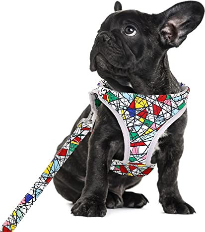 Reflektierendes Hundegeschirr, weiches Mesh-Haustier-Welpengeschirr, Leine, modisch Bedruckt, klein, mittelgroß, Hundegeschirr, französische Bulldogge