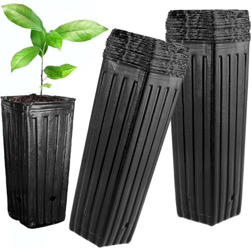 50 Stück hohe Baumtöpfe, 24,9 cm H x 11,9 cm B, Kunststoff, tiefe Baumtöpfe mit Ablauflöchern, Blumenbehälter für Innen- und Außenbereich, Gartenpflanzen