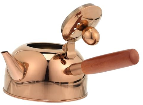 LeGDOr Side Handle Kettle Tea Tea Maker Induction Cooker Stainless Steel