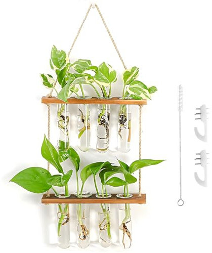 Hängende Propagation Station Wandvase - Reagenzglas Vase - Vermehrungsstation - Ableger Pflanzen Glas Für Hydrokultur Pflanzen - Vintage Dekovase Mit Holzregal Für Wohnzimmer Küche - 8 Rohr 2 Stufen