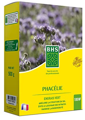 BHS Phacélie | 500g | 100 m² | Croissance Très Rapide | Limite l'Apparition des Mauvaises Herbes | Résistance à la Sécheresse PHA500