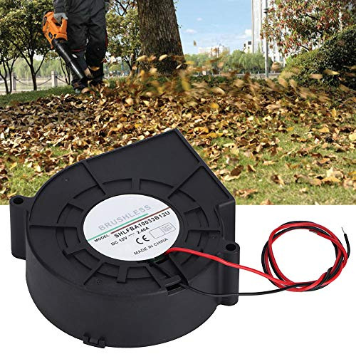 Double Ball Turbo Gebläse Lüfter Turbine Luftgebläse Lüfter für Picknick Camping Heizgeräte Grill, DC12V