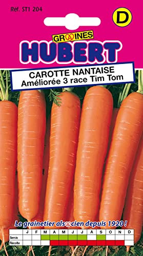 Graines de Carotte Nantaise Améliorée 3 Race Tim Tom - 4 grammes