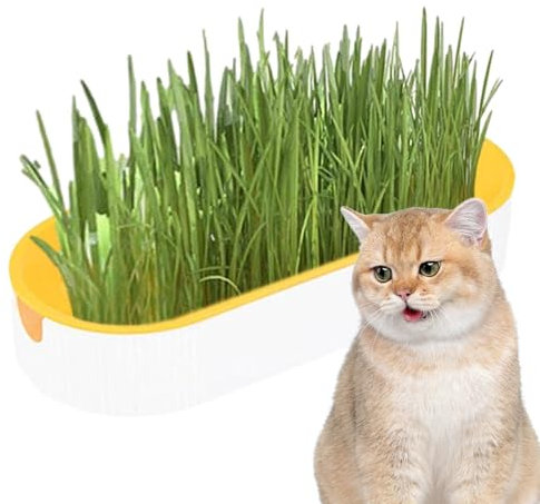Katzengras Pflanzkasten, Katzengras Anzuchtset, Katzengras Pflanzgefäß, Katzenminze Katzengras Box, Kauen Kätzchen, Gras Pflanze Anzuchtset für Katzen Snacks, Erde Katze Snacks für Verdauung,