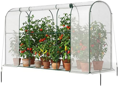 SUNYRISY Tomaten Gewächshaus Klein Foliengewächshaus 300x100x170 cm | Tomatenhaus Tomatenzelt mit Tomatendach, Greenhouse mit Rollentür und Windschutzseil für Balkon Outdoor, Bogen Weiß