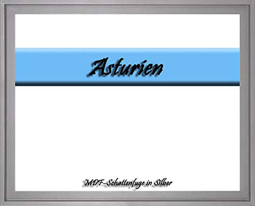 MDF-Leerrahmen ASTURIEN speziell für Leinwandbilder BZW. Keilrahmenbilder im Format 50 x 75 cm. Schattenfugenrahmen in der Farbe: Silber. 10 Farben zur Auswahl