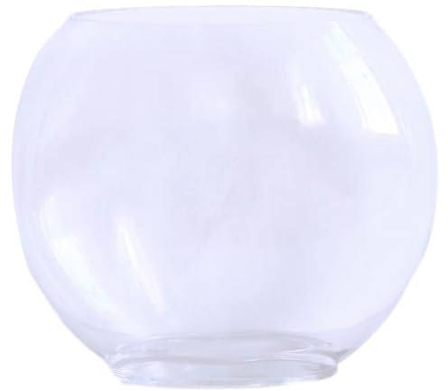 FRCOLOR Aquarium en Verre Transparent Réservoir De Poisson Rouge Multifonction 9.84X7.87X2.95 in pour Décoration Maison Bureau Fleurs Et Plantes 1 Pièce