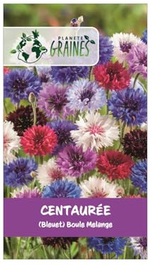 50 mélange de graines centaurée cyanus double ball — bleuet varié annuel (noir, blanc, rouge, rose, mauve, bleu) pour fleurs coupées, massifs et prairies
