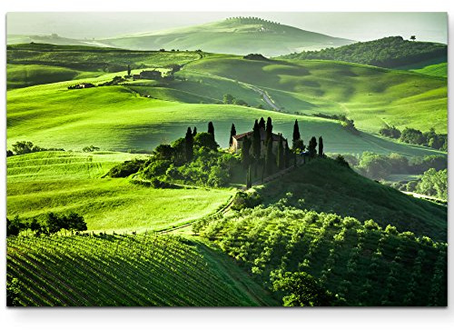 Paul Sinus Art Leinwandbilder | Bilder Leinwand 120x80cm grüne Hügellandschaft in der Toskana