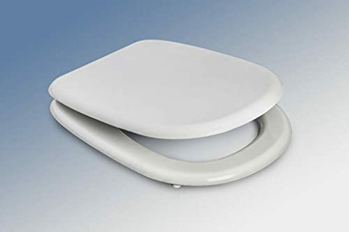 SEDILE RESINA POLIESTERE COLATO COMPATIBILE DOLOMITE RIO CON CERNIERE INOX