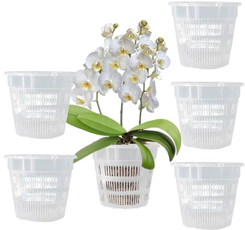 Tomalithic Transparent übertopf mit Ablauflöchern, Plastik Orchideentopf, Leicht Und Robust, aus Kunststoff mit Luftlöchern, für Die Gartenarbeit zu Hause, zum Pflanzen von Topfpflanzen Im Garten