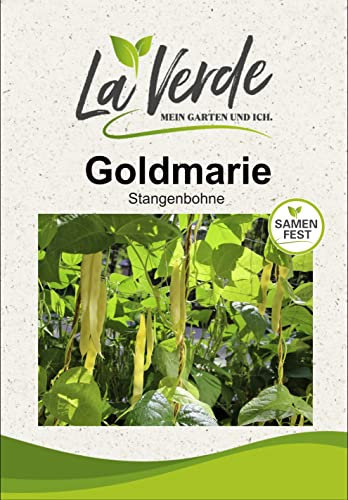 Stangenbohne Goldmarie Bohnensamen Gelb