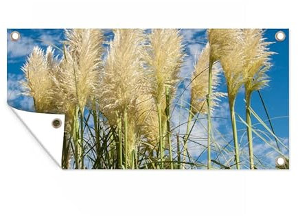 MuchoWow Poster exterieur Herbe de la pampa - Plante - Nature Decoration murale 60x30 cm Résistant aux intempéries/soleil
