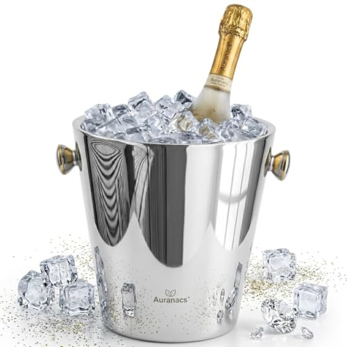 AURANACS® Milano champagnekylare rostfritt stål – dubbelväggig isolerad champagnekylare, spegelpolerad, 4,5 l, Ø 22 cm, med handtag – vinkylare för champagne, fester och gastronomi