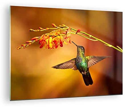 ARTTOR Bilder auf Glas 70x50cm Wandbild Glasdruck Natur Tiere - 3490 | Kolibri Vogel Sommer Klein Modern Dekoration Wohnzimmer Schlafzimmer Küche Wanddeko Kunstdruck Art Wall Decor ARTTOR