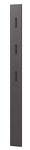 Lomadox Garderobenpaneel Wandgarderobe in grau mit ausklappbaren Metallhaken, B/H/T ca. 15/170/3 cm