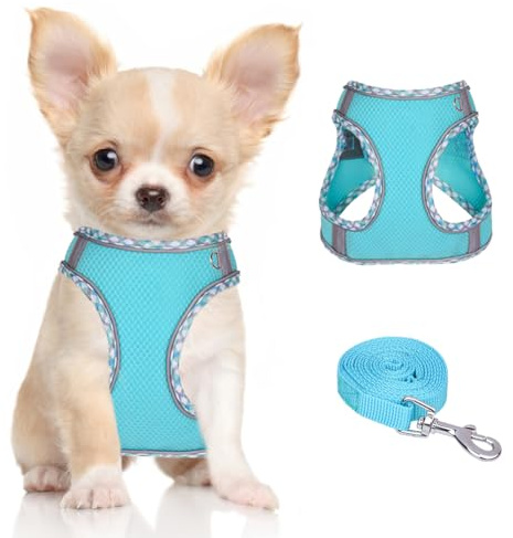 DoggieKit Hundegeschirr mit Leine für Kleine mittelgroße Hunde Gepolstert | Geschirr, reflektierendes, verstellbares, Atmungsaktives Mesh, leichtes, weiches, no-pull, für extra kleine mittelgroße Hunde