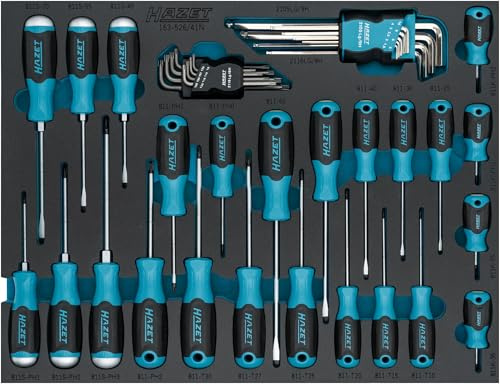 HAZET Schraubendreher-Set 163-526/41N, 41-teilig, PH0–PH3, T9–T40, Schlitz 0,4x2,5 – 1,2x7, Innen TORX und Innen Sechskant, mit Schraubendrehern mit Schlagkappe und Winkelschlüsseln