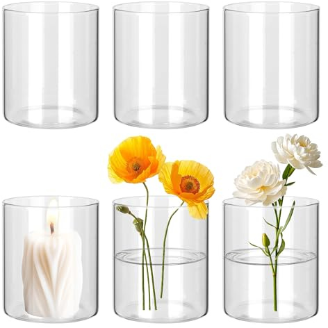 BUCOMTU 6 Pièces Vase Fleur, Mini Vases en Verre 8.5 x 10cm, Petits Vases en Verre, Vase Cylindrique pour la Décoration de Fêtes, Arrangements Floraux, Centres de Table de Mariage, Bricolage