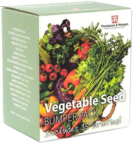 Vegetable Seed Collection Bumper Pack Includes 35 Different Varieties Lettuce Tomato Carrot Salad Leaves + 1 FREE Pair of Garden Snips, 1 x Vegetable Seeds Bumper Pack by Thompson & Morgan