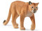 schleich 14853 Puma, für Kinder ab 3+ Jahren, WILD LIFE - Spielfigur
