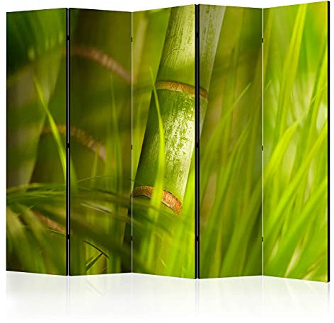 murando - Paravento Decorativo Bifacciale Natura 225x172 XXL 5 Pannelli Divisori - Stampa su due Lati su Tela in TNT - Separe Divisorio per la Casa - Non Trasparente - Bambù p-C-0023-z-c
