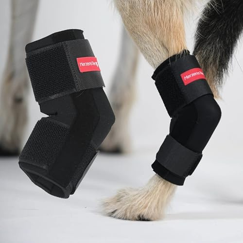 HERZENSTIER Sprunggelenkbandage Neopren Gr. M für Hunde & Katzen ohne Schienen zur Unterstützung des Tarsalgelenks beim Sport, zur Prävention vor Überlastungen & Fixierung von Verbänden