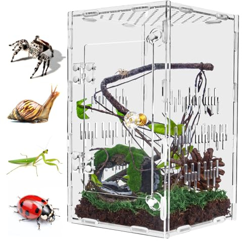 Springspinnengehege aus Acryl, 25,4 x 15,2 x 15,2 cm, großes belüftetes Reptilien-Terrarium mit Tür an der Vorderseite für Vogelspinnen, Insekten, Frösche, Gottesanbeterin, Schnecken
