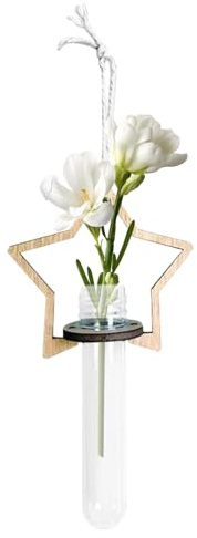 Station de propagation murale pour , vase tube à essai hydroponique propagé, affichage Tillandsia Pothos pour intérieur, salon, chambre à coucher, maison, balcon, salle d'étude, décoration