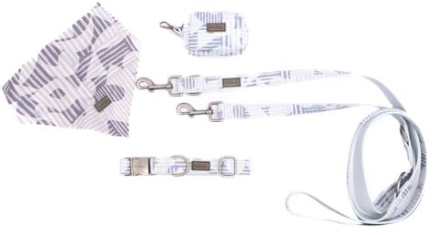 bo&flash Hundeleinen Set Charleston für kleine Hunde – Bequemes Hundehalsband mit 2,5 m Leine – 4 tlgs. Set aus veganem Leder mit verstellbarem Halsband und charmantem Halstuch – Peter – S