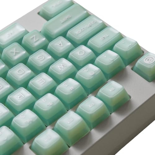 ULTRAEQUIP Jade Keycaps, 160 Keys Double Shot, PBT RSA Profile, Translucent Shine Through Custom Keycap Set with Split/ 7U Spacebar for Alice ISO ANSI/ 61/64/84/87/100/104/108 Mechanical Keyboard
