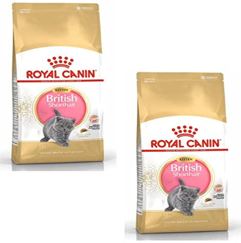 Royal Canin British Shorthair Kitten | Doppelpack | 2 x 400 g | Trockenfutter für BKH Kätzchen | Bis zum 12. Monat | Zur Unterstützung des Wachstums von Knochen und Muskeln