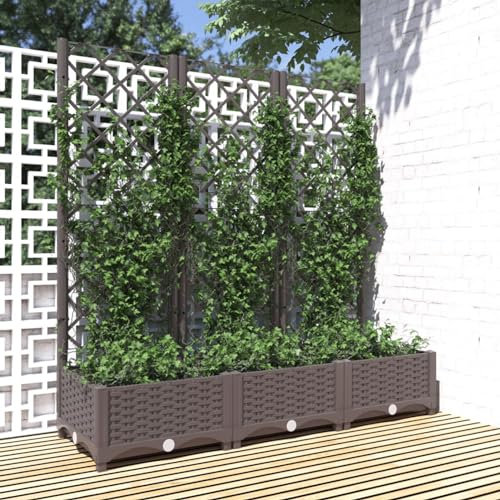 Fioriera da giardino con traliccio verticale per piante rampicanti all'aperto patio cortile ingresso aiuola rialzata marrone 120 x 40 x 121,5 cm