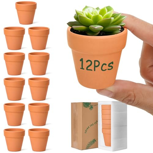 T4U 6cm Terrakotta Sukkulenten Töpfe 12er-Set, Mini Tontöpfe Anzuchttöpfe für Innen- und Außenbereiche