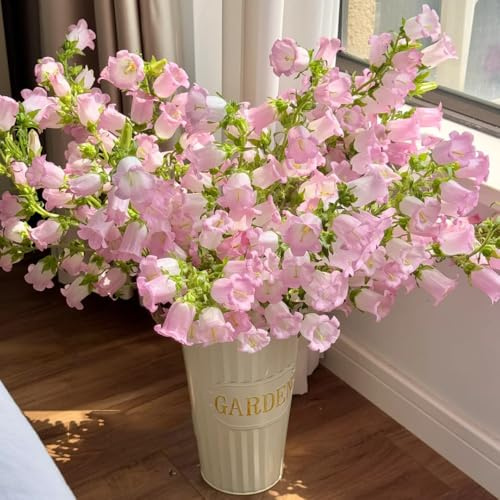 glockenblume - campanula medium - balkon glockenblumesamen, gartendeko für draußen, blumenteppich gartenblumen kräuterpflanzen 100pcs