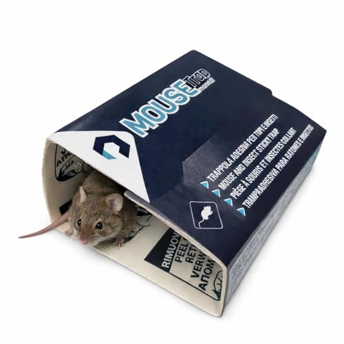 30 uds Trampas para Ratones - Pegamento Ratones - Trampa Rata - Mouse Trap