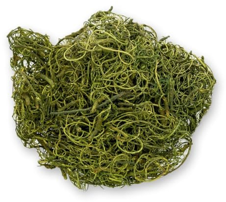 NaDeco Curly Moos Moosgrün, 200g im Beutel | Tillandsia | Deko und Bastelmoos | Curlymoos zum Dekorieren
