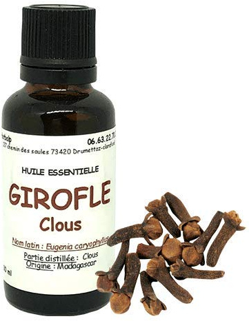 Huile essentielle de Girofle clous (10 ml) Eugenia caryophyllus