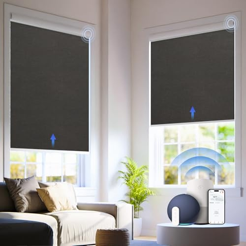 Hapadif Motorized Automatic Blinds-32 Inch Width Cordless Roller Shades with Remote for Bedroom Living Room Home Office, Black