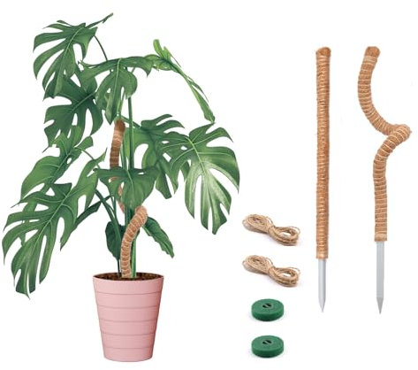 Bendable Moss Pole for Plants Monstera, Bendable Plant Stakes Moss Poles for Potted Indoor Climbing Plants, Handmade Coco Coir Pole Plant Support for Creeper Plants Grow Upwards, 2 Pack, 25 Inch