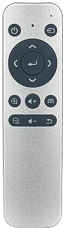 VINABTY FL531-A53 Replacement Remote Controls Applicable For Vivitek Qumi Projector,Compatible Model FL531-A53、Q3、Q3PLUS